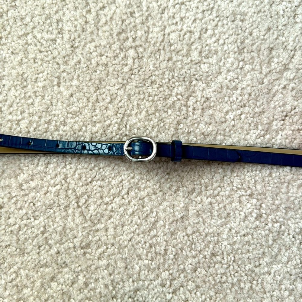 Ann Taylor belt. Size L. Denim blue w/snakeskin print. Silver buckle. Never worn